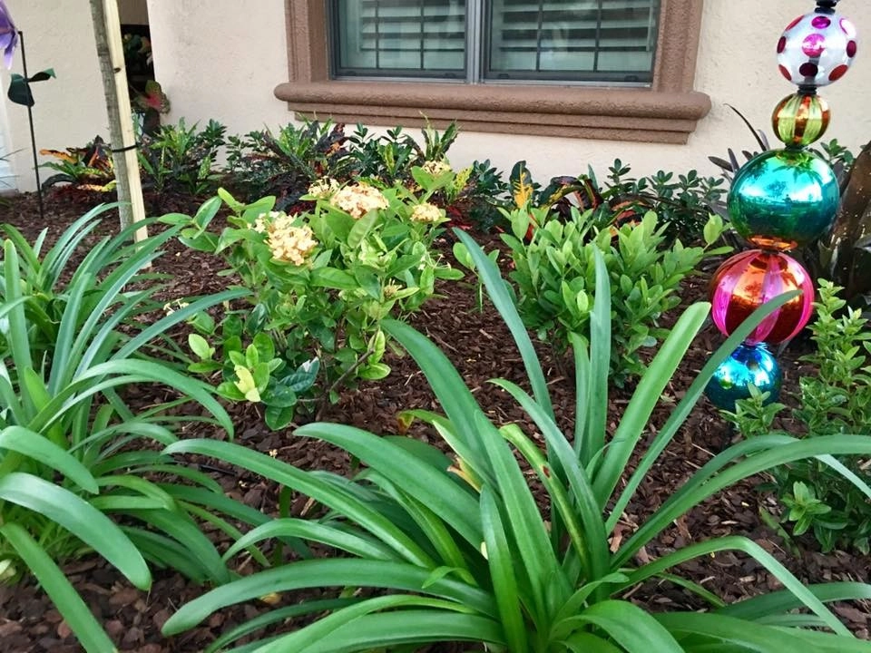 Tralee Bay Estates Landscape by The Master's Touch Landscape And Design - Photo 3