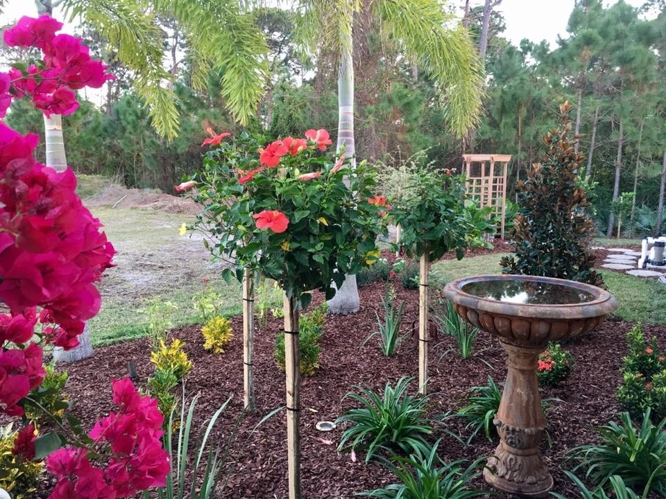 The Master's Touch Landscape And Design - Photo 6