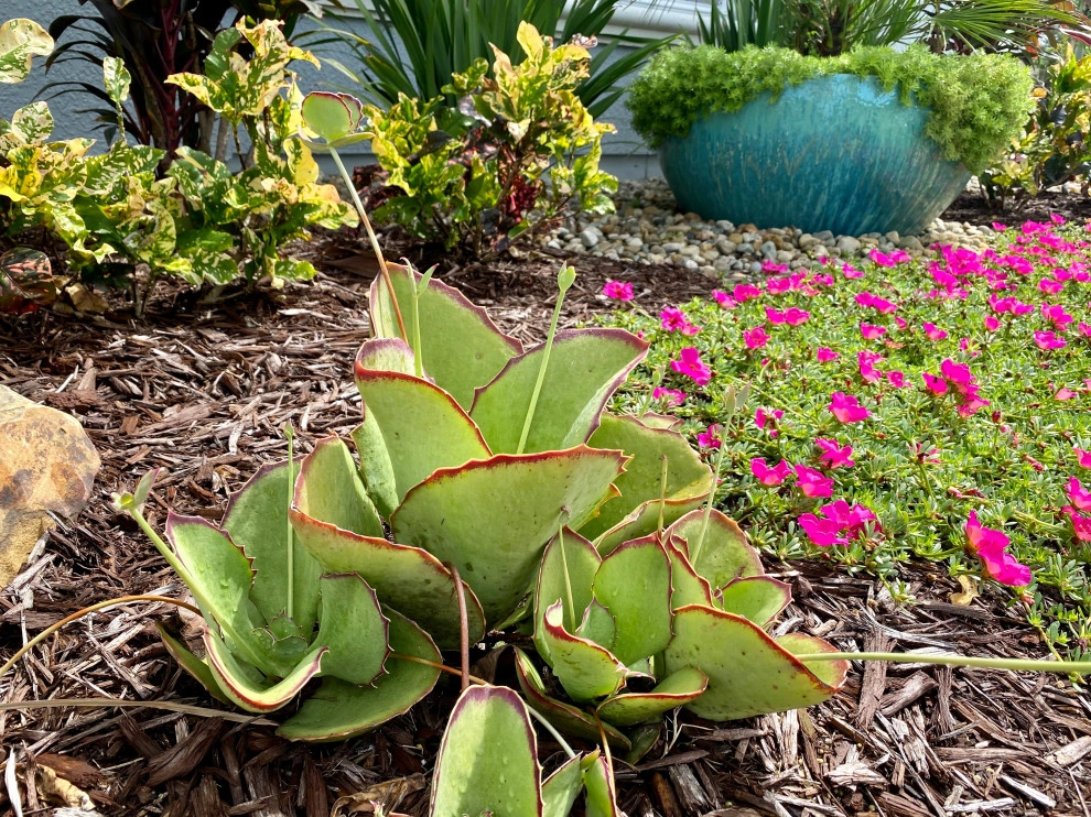 Front Yard Landscape Remodel by The Master's Touch Landscape And Design - Photo 12