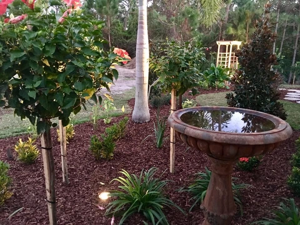 Tralee Bay Landscape Lighting by The Master's Touch Landscape And Design - Photo 4