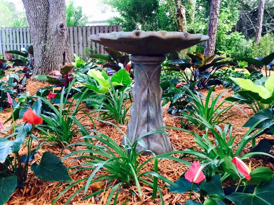 Backyard Makeover by The Master's Touch Landscape And Design - Photo 17