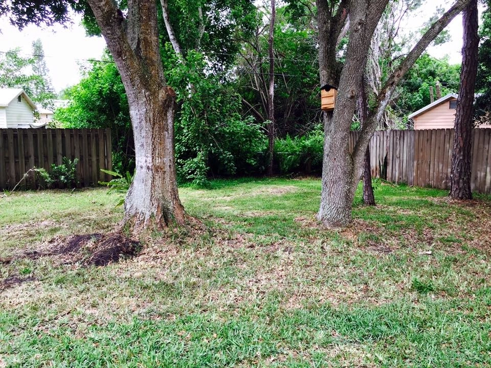 Backyard Makeover by The Master's Touch Landscape And Design - Photo 11