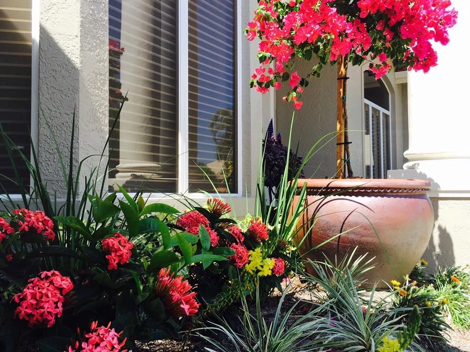 The Cloisters Landscape Remodel by The Master's Touch Landscape And Design - Photo 5