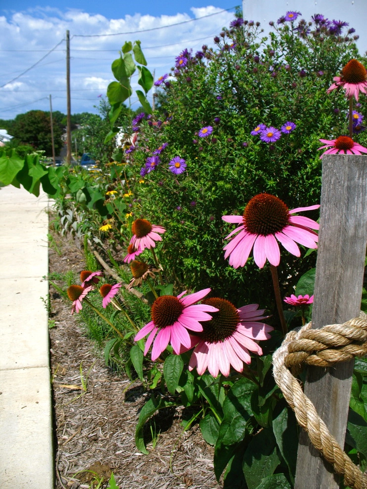 Living Landscapes by The Natural Garden - Photo 5