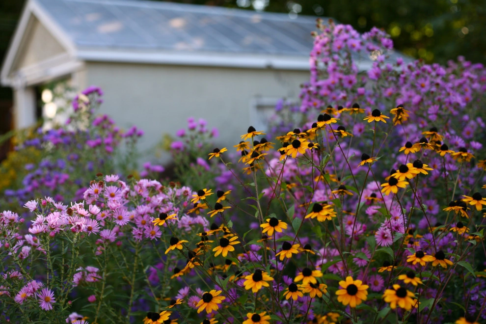 Living Landscapes by The Natural Garden - Photo 10