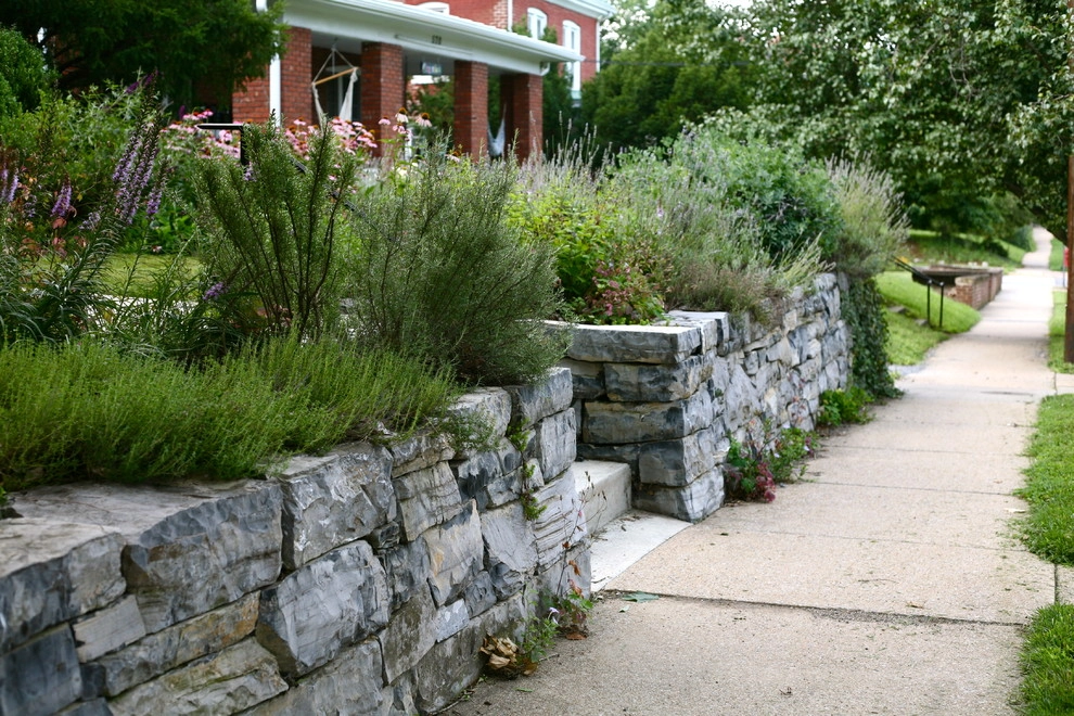 The Natural Garden - Photo 11