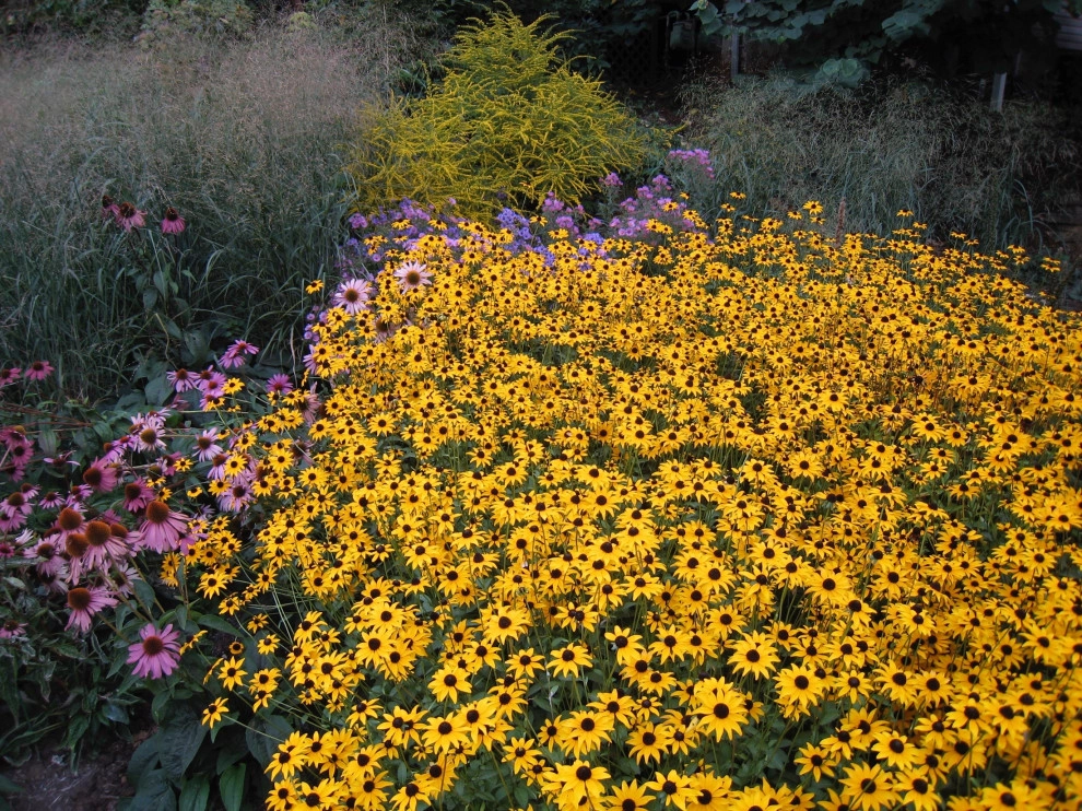 The Natural Garden - Photo 13