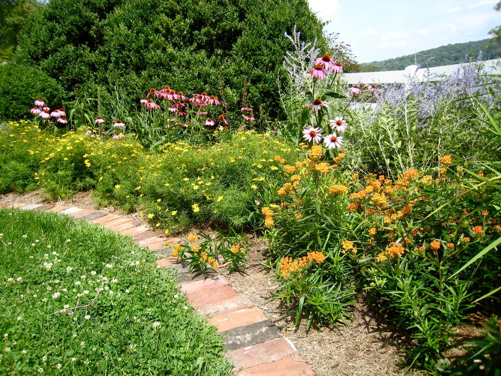 Living Landscapes by The Natural Garden - Photo 8