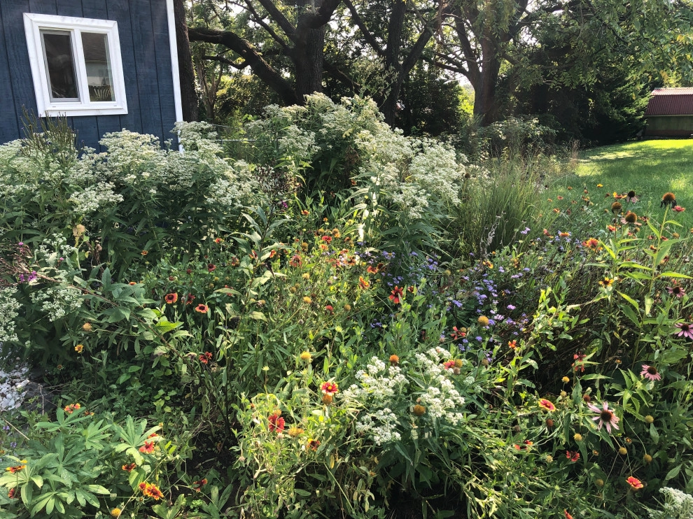 Living Landscapes by The Natural Garden - Photo 7