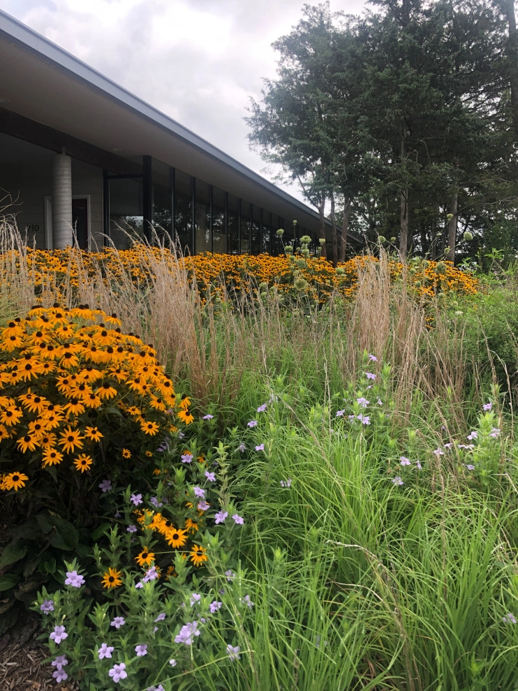 The Natural Garden - Photo 14