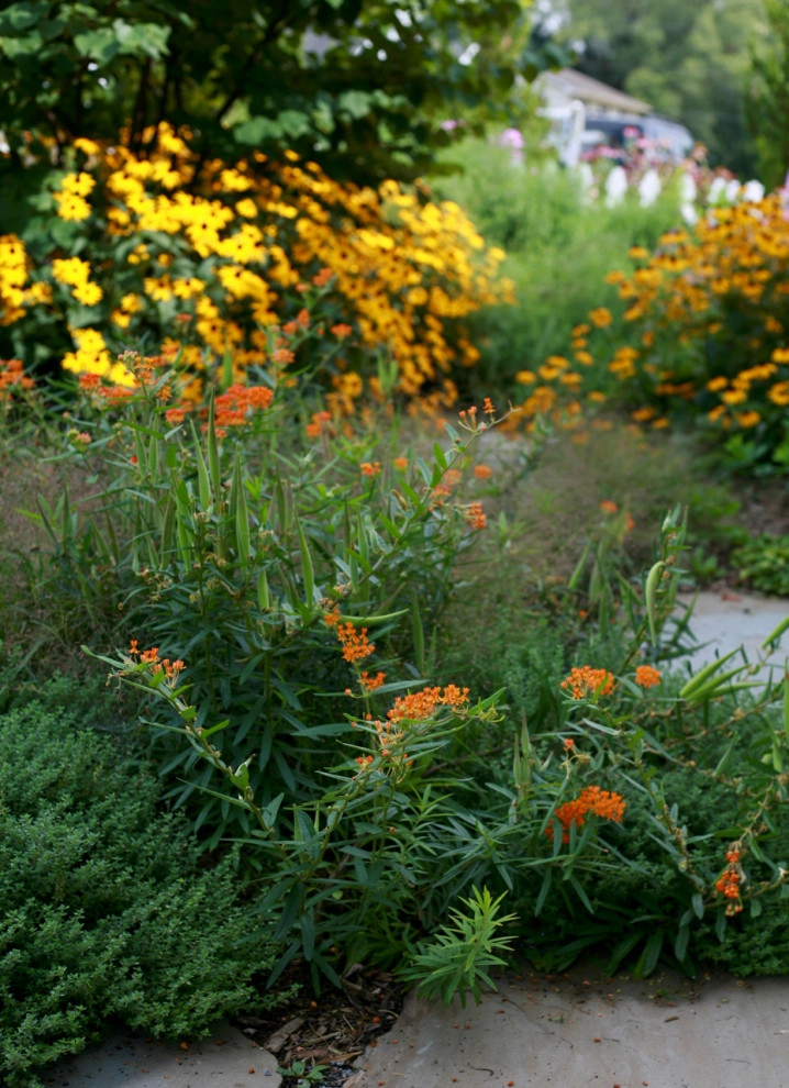 Living Landscapes by The Natural Garden - Photo 9