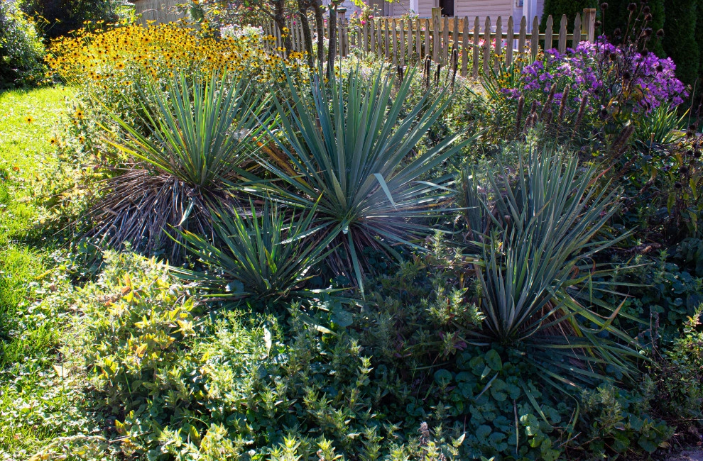 Living Landscapes by The Natural Garden - Photo 3