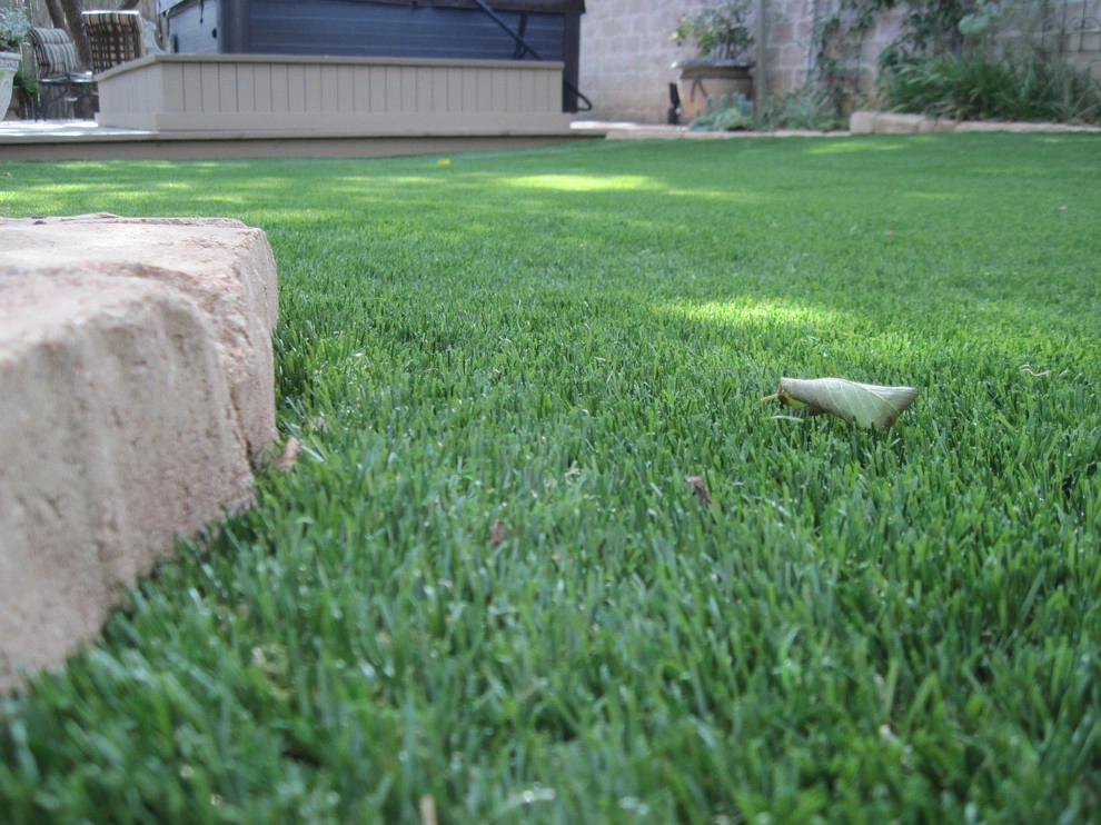 The Perfect Lawn - Photo 9