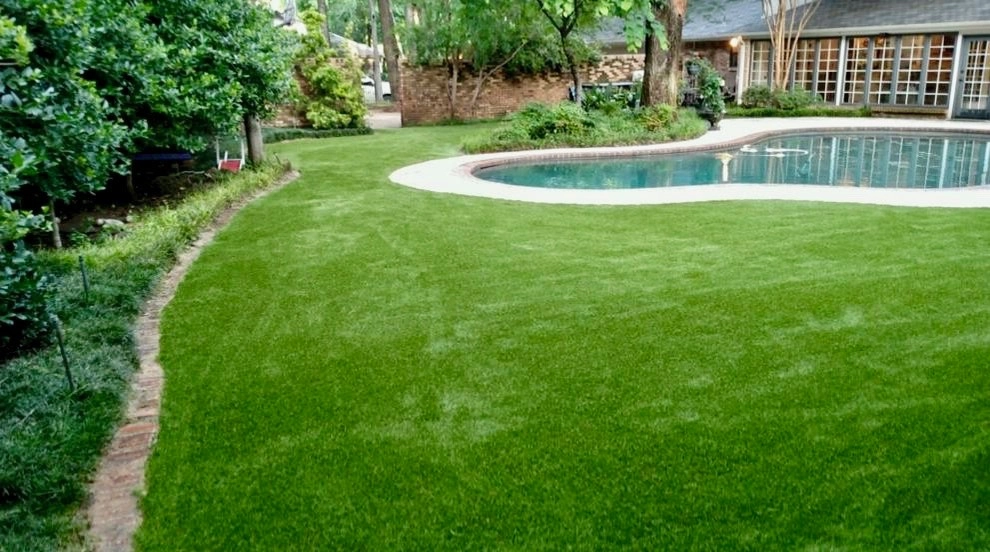 The Perfect Lawn - Photo 13