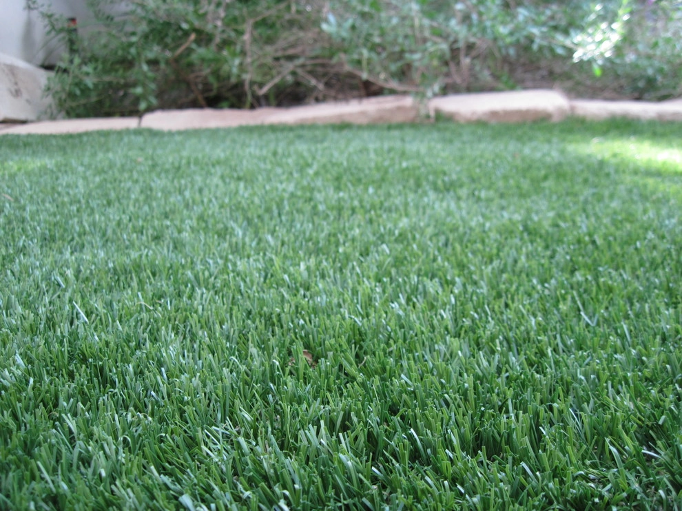 The Perfect Lawn - Photo 7