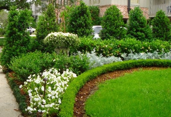Front Landscaping by The Plant Gallery - Photo 26