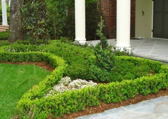 The Plant Gallery - Photo 9