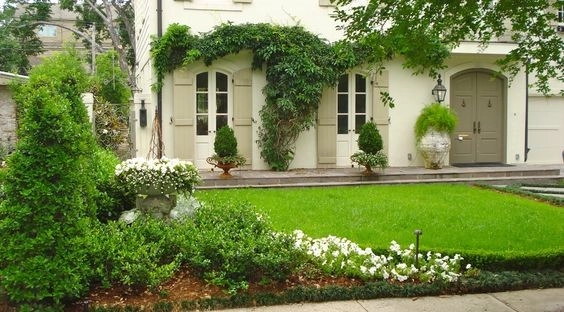 Front Landscaping by The Plant Gallery - Photo 20
