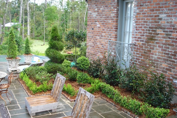 Back Landscaping by The Plant Gallery - Photo 13