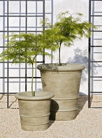 Planter Design by The Plant Gallery - Photo 5
