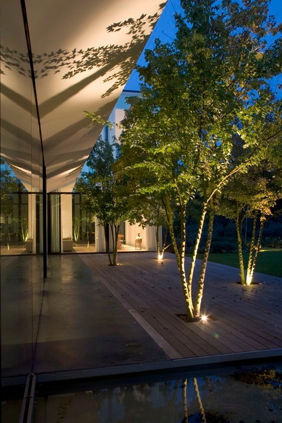 Landscape Lighting by The Plant Gallery - Photo 11