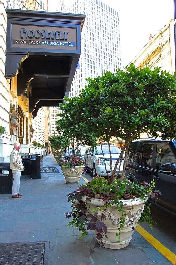 Planter Design by The Plant Gallery - Photo 12