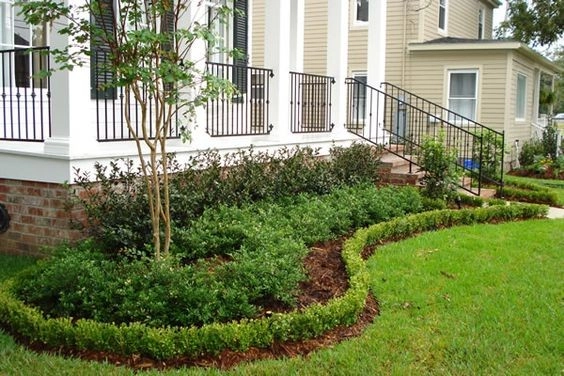 Front Landscaping by The Plant Gallery - Photo 21