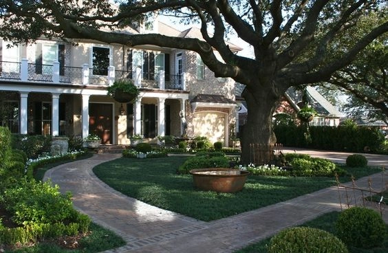 Front Landscaping by The Plant Gallery - Photo 8
