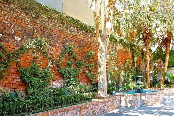 Courtyards + Rooftops by The Plant Gallery - Photo 28