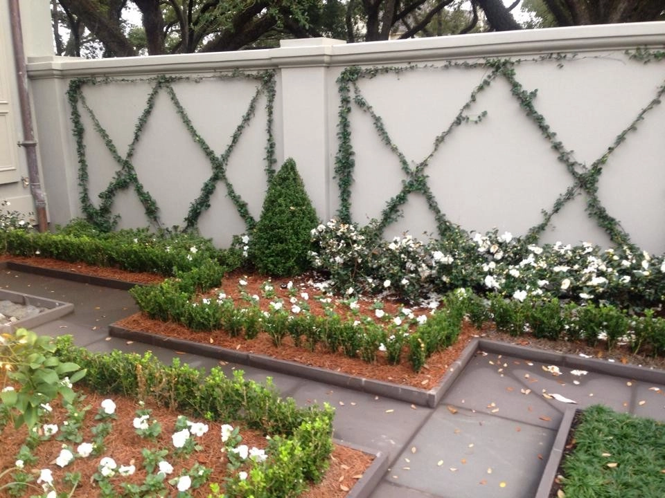 Back Landscaping by The Plant Gallery - Photo 12