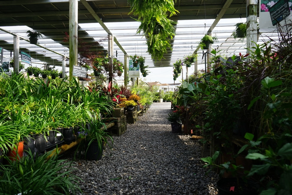 Spring 2018 by The Plant Gallery - Photo 2