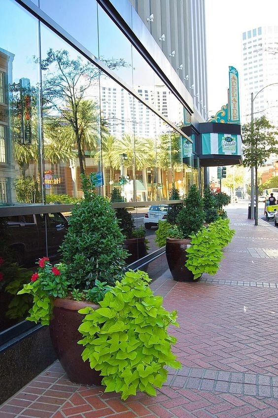 Planter Design by The Plant Gallery - Photo 10