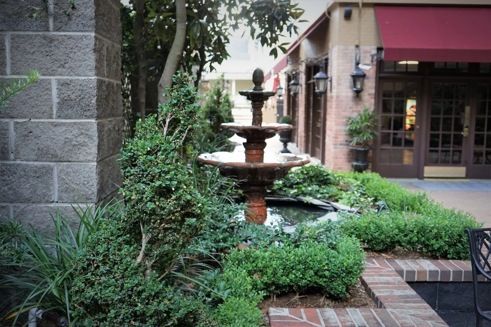 Courtyards + Rooftops by The Plant Gallery - Photo 5