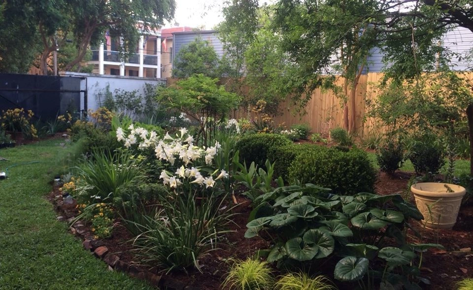 Back Landscaping by The Plant Gallery - Photo 10