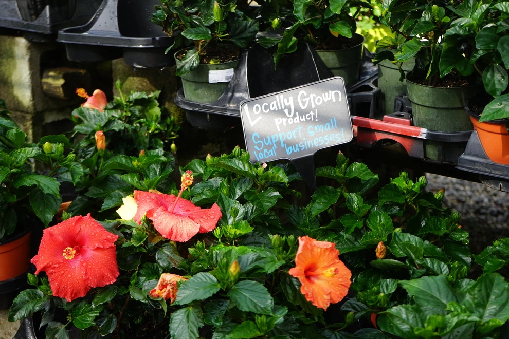Spring 2018 by The Plant Gallery - Photo 15