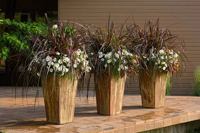 Planter Design by The Plant Gallery - Photo 14