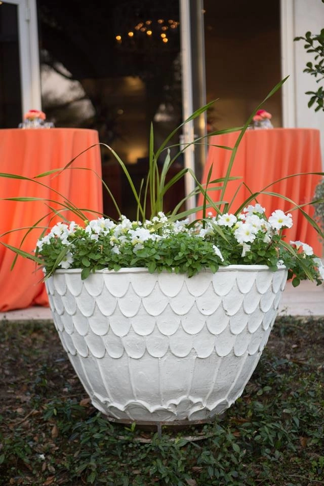 Planter Design by The Plant Gallery - Photo 3