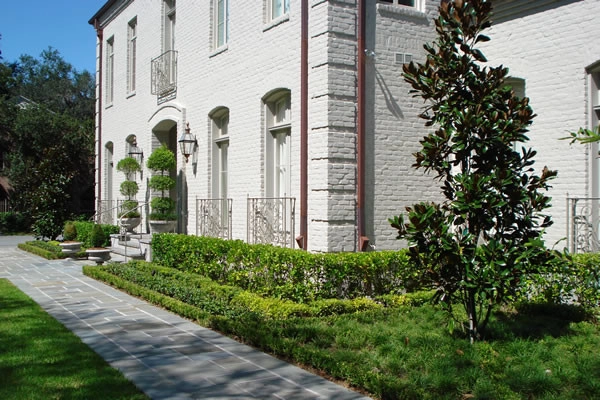 Front Landscaping by The Plant Gallery - Photo 7