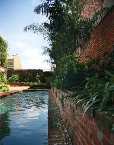 Back Landscaping by The Plant Gallery - Photo 23