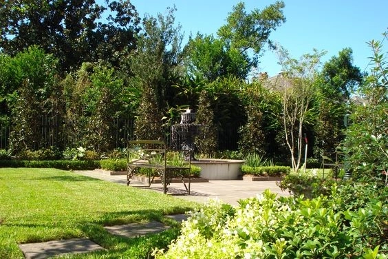 Back Landscaping by The Plant Gallery - Photo 19
