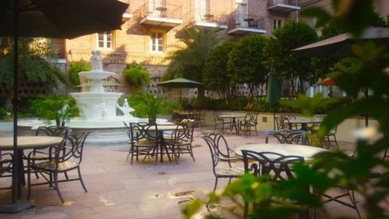 Courtyards + Rooftops by The Plant Gallery - Photo 7
