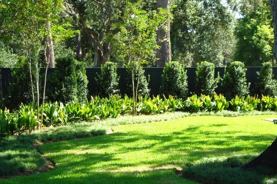 Back Landscaping by The Plant Gallery - Photo 6