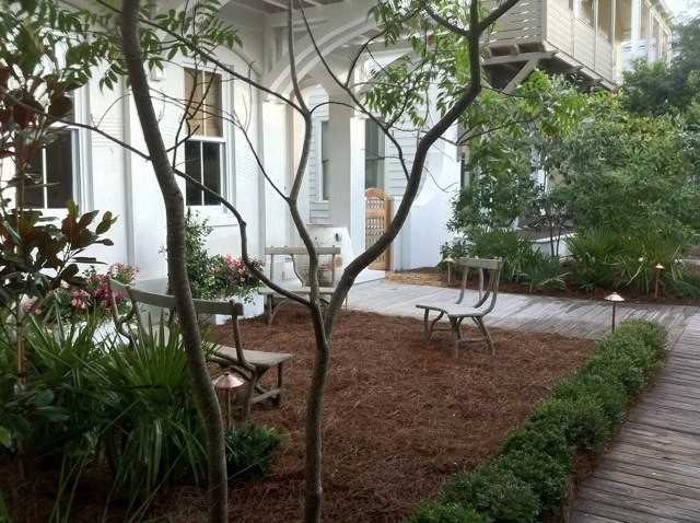 Back Landscaping by The Plant Gallery - Photo 4