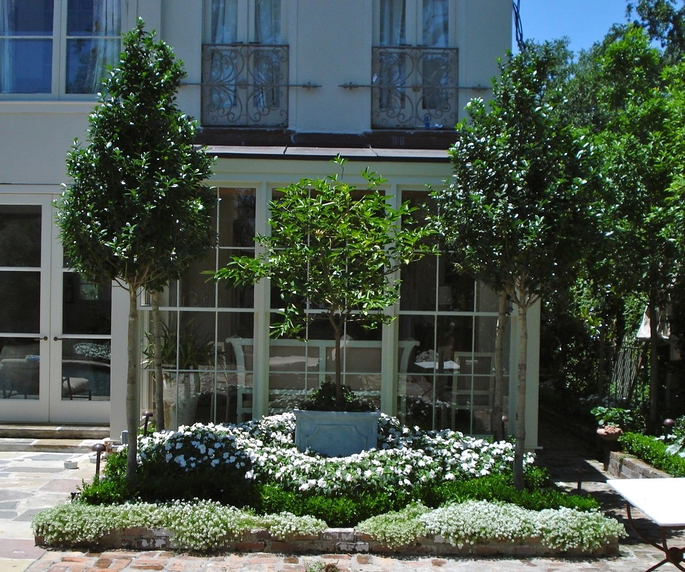 Back Landscaping by The Plant Gallery - Photo 2