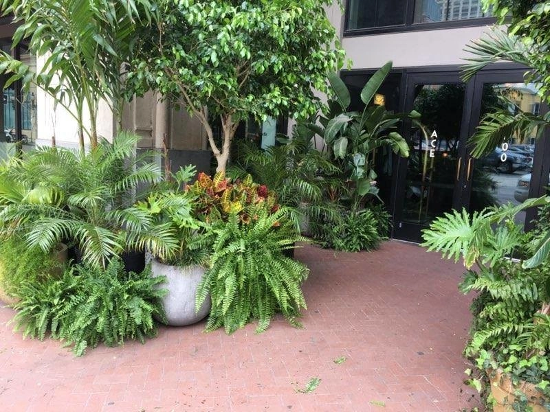 Spring 2018 by The Plant Gallery - Photo 7