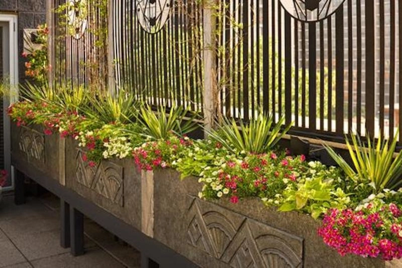 Planter Design by The Plant Gallery - Photo 9