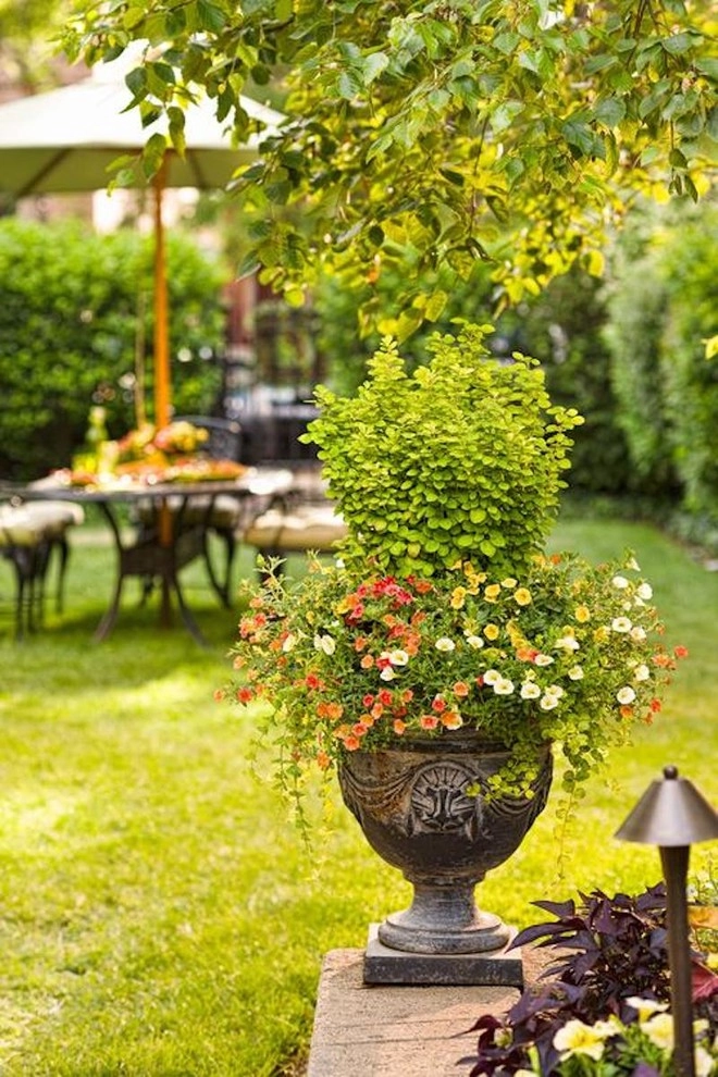 Planter Design by The Plant Gallery - Photo 6