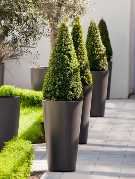 Planter Design by The Plant Gallery - Photo 4