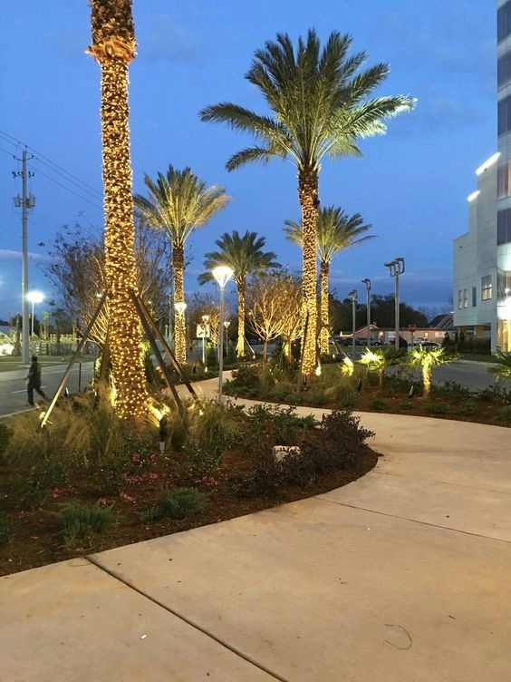 Landscape Lighting by The Plant Gallery - Photo 7