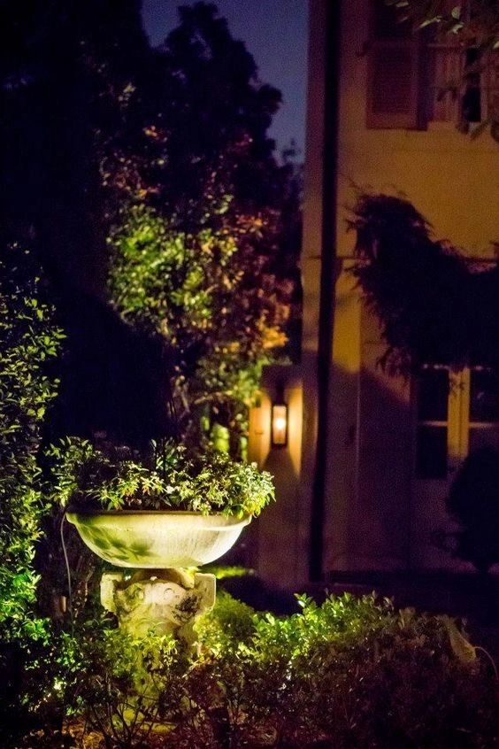 Landscape Lighting by The Plant Gallery - Photo 6